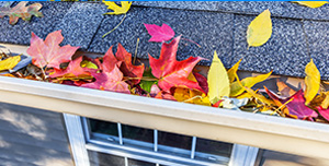 Gutter Repair, Cleaning and Replacement